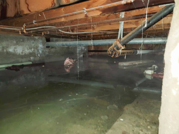 Best Flood damage cleanup  in Gahanna, OH
