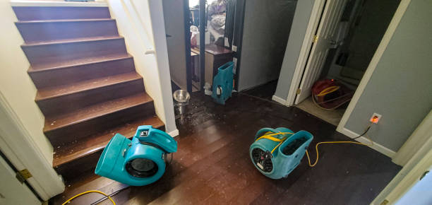 Best Water damage cleanup near me  in Gahanna, OH