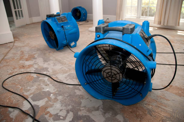 Best 24-hour water damage restoration  in Gahanna, OH
